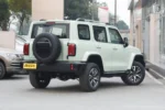 Tank 300 Time Traveler Compact SUV – Buy Direct From China | Chinese Cars in Uzbekistan For Sale